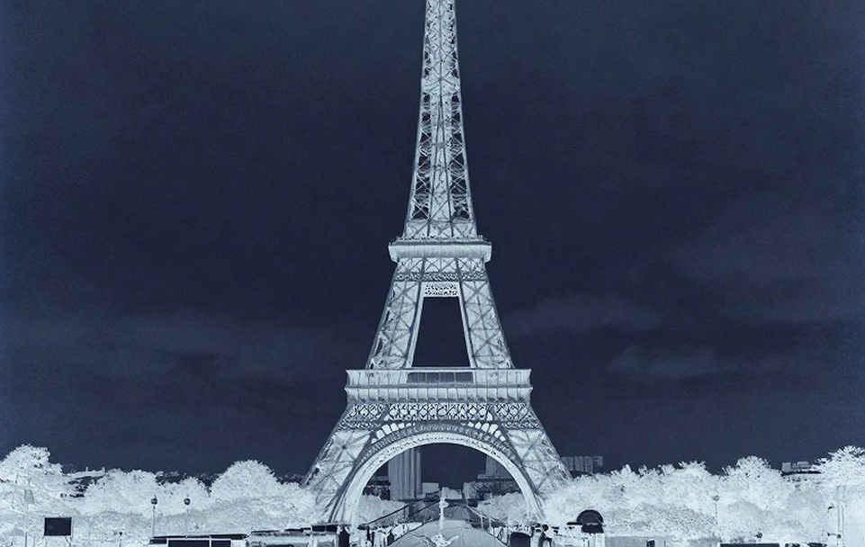 HDBank Green Marathon 2026: Nâng tầm giải chạy cộng đồng giữa rừng ngập mặn Cần Giờ