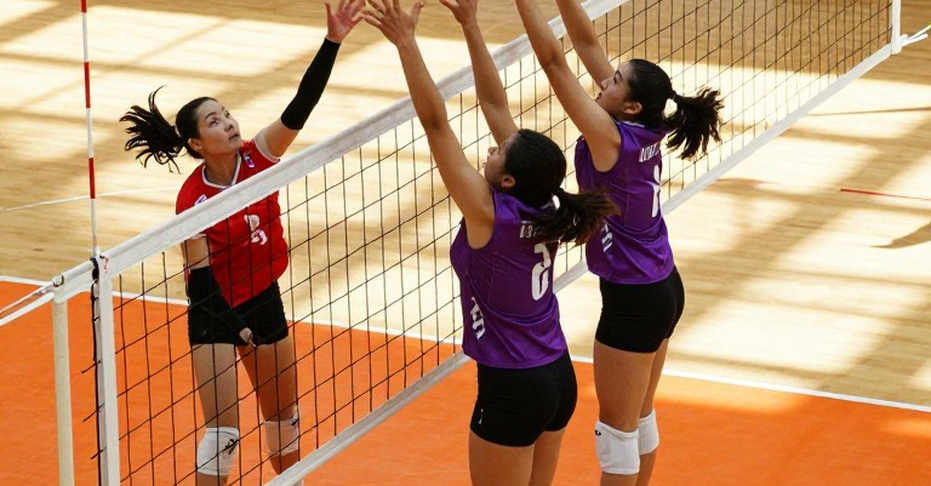 Giải vô địch AVP League 2026: Kỷ nguyên thống trị của những cặp đôi kỳ cựu Giải vô địch AVP League 2026: Kỷ nguyên thống trị của những cặp đôi kỳ cựu
